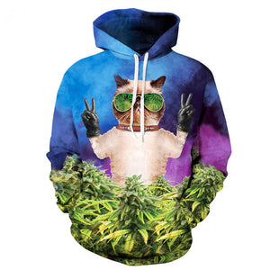 Dank Master Weed Cat Hoodie - Dank Master